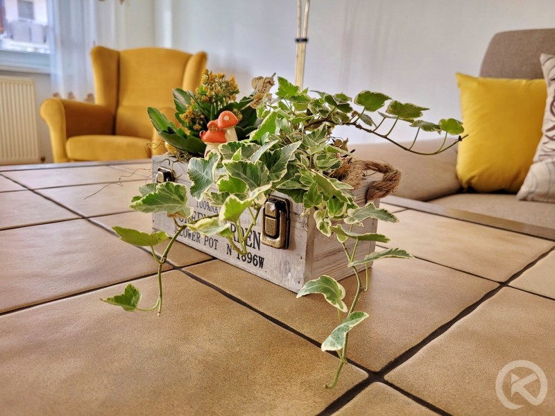 Flora Apartment Odorheiu Secuiesc 709657 thumb