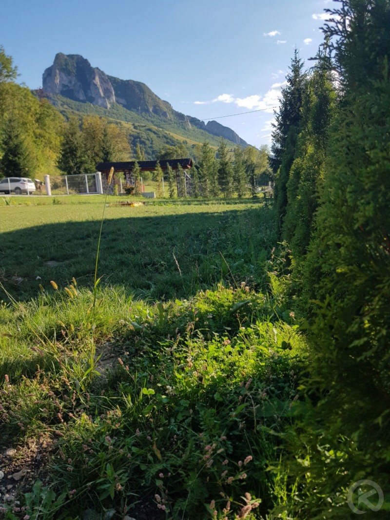 Anisoara Cottage Rimetea 682601 thumb