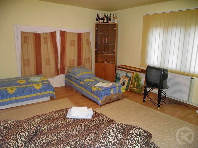 Sandominic Chalet Sândominic 696768 thumb