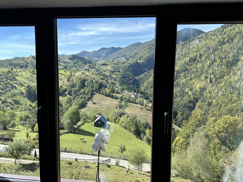 Magura Guesthouse Măgura 709095 thumb