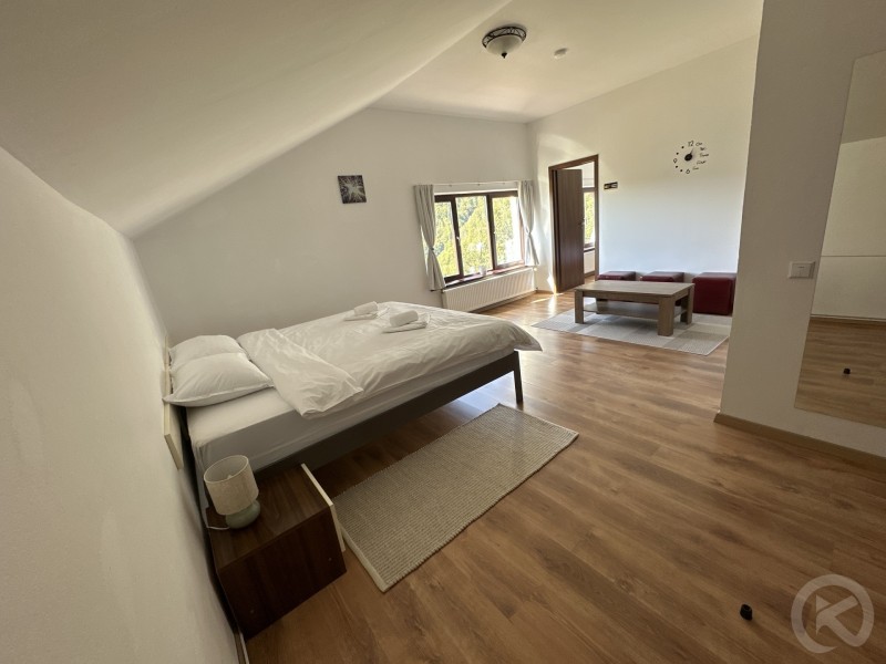 Magura Guesthouse Măgura 709093 thumb