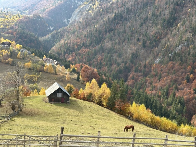 Magura Guesthouse Măgura 709037 thumb