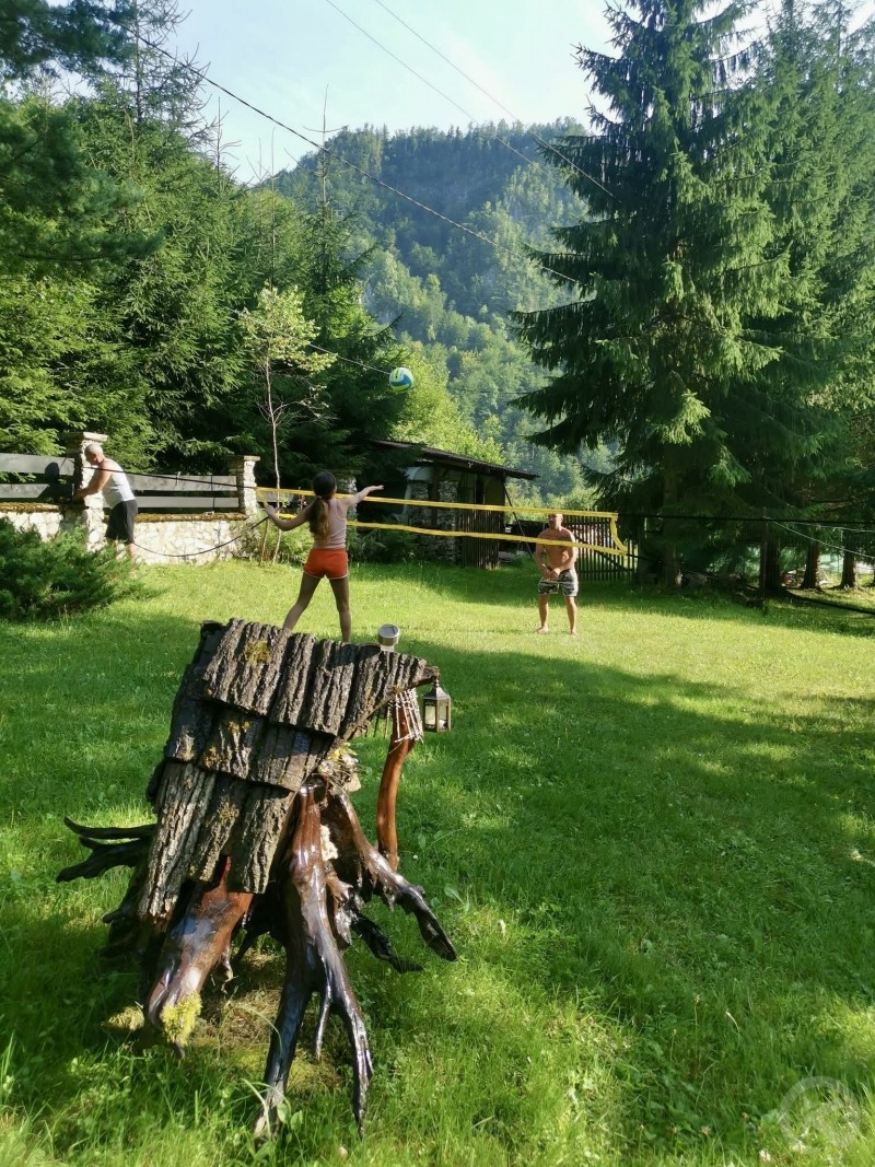 Valea Rea Guesthouse Valea Boga 708640 thumb