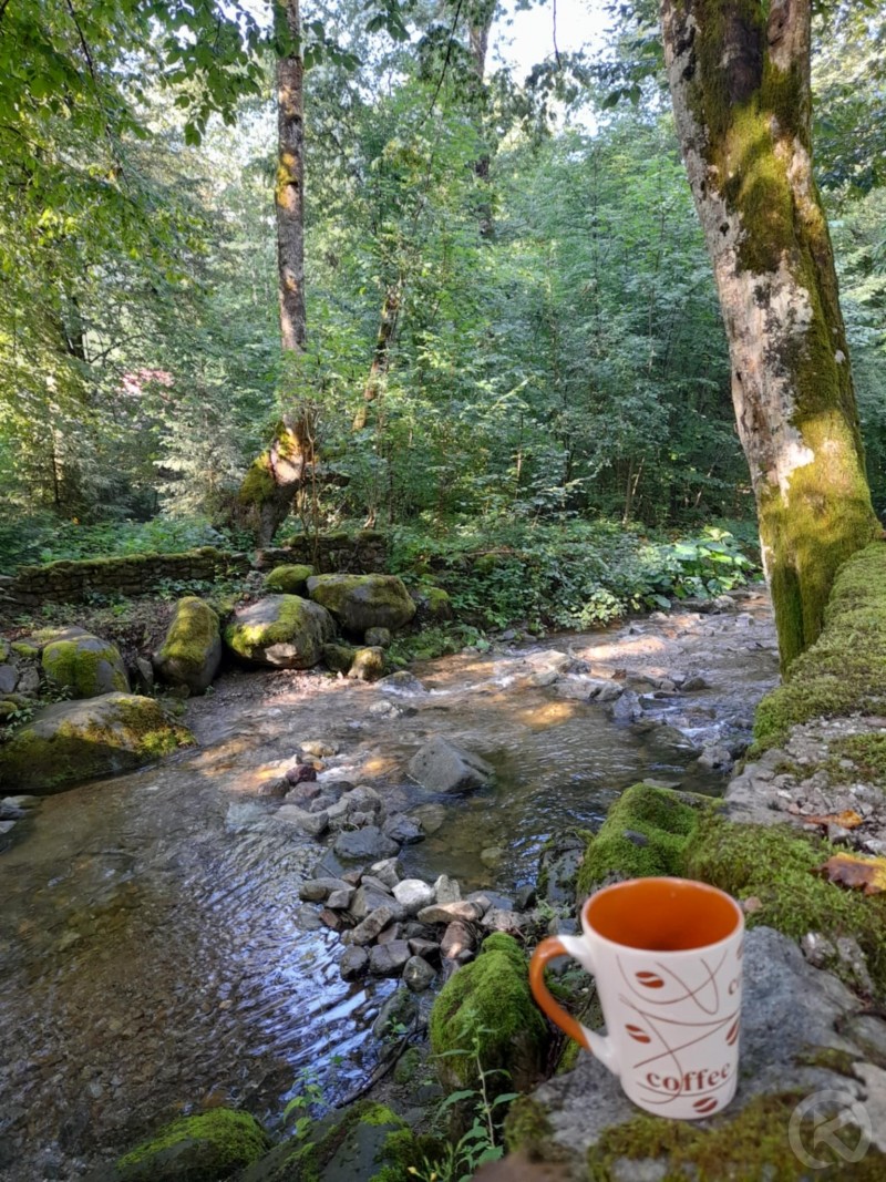 Valea Rea Guesthouse Valea Boga 708643 thumb