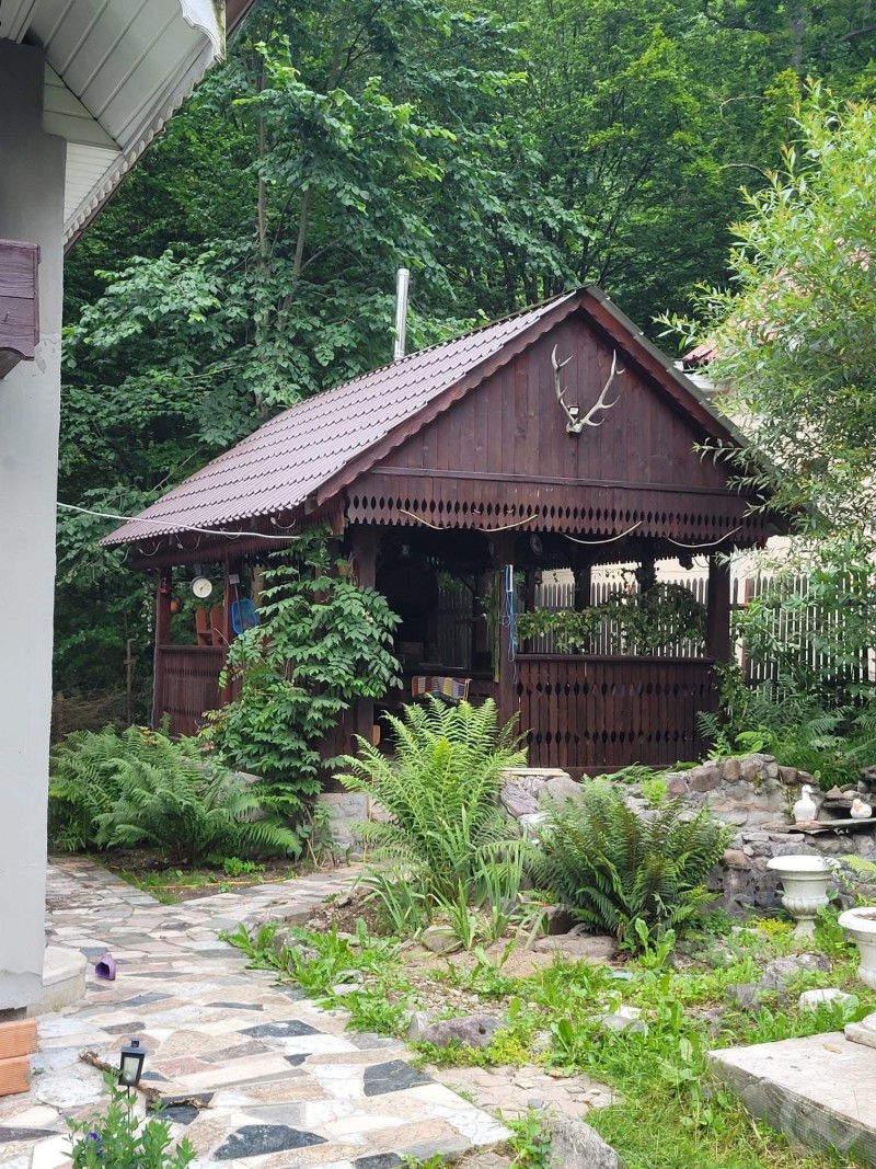 Valea Rea Guesthouse Valea Boga 708641 thumb