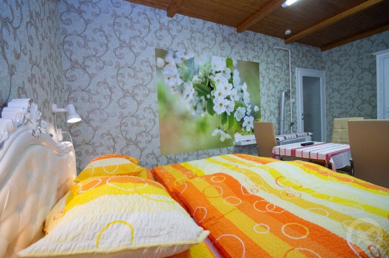 Amalia Apartment Gyula 710630 thumb