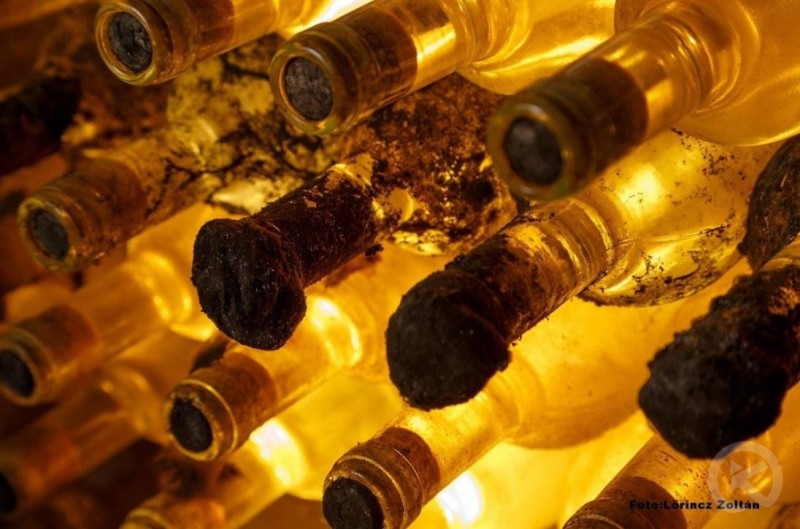 Doua Salcii Hostel Aiud 702278 thumb