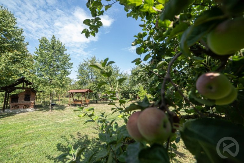 Country Guesthouse & Barn Hostel Bisericani 681696 thumb