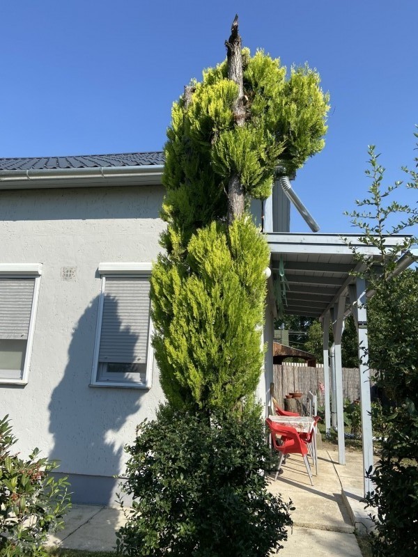 Feri Apartman Berekfürdő 681763 thumb