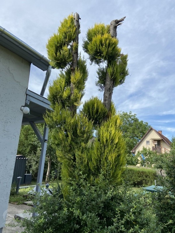 Feri Apartman Berekfürdő 681764 thumb