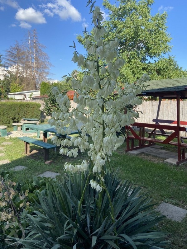 Feri Apartman Berekfürdő 681772 thumb