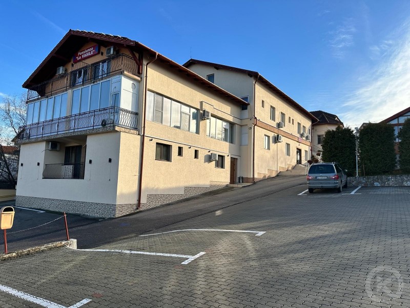 Pensiunea La Vasile Zalău 684692 thumb