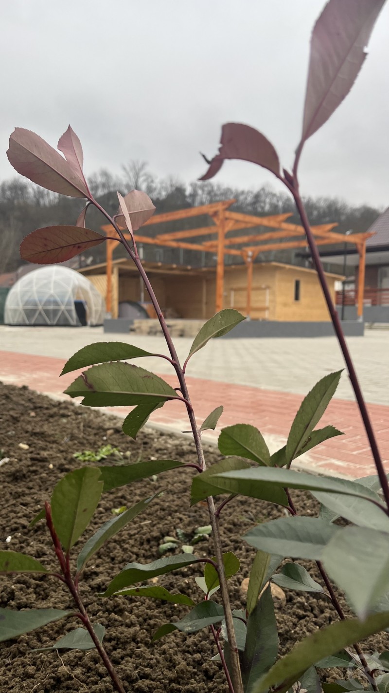 Europa Hotel Ocna Mureș 704756 thumb