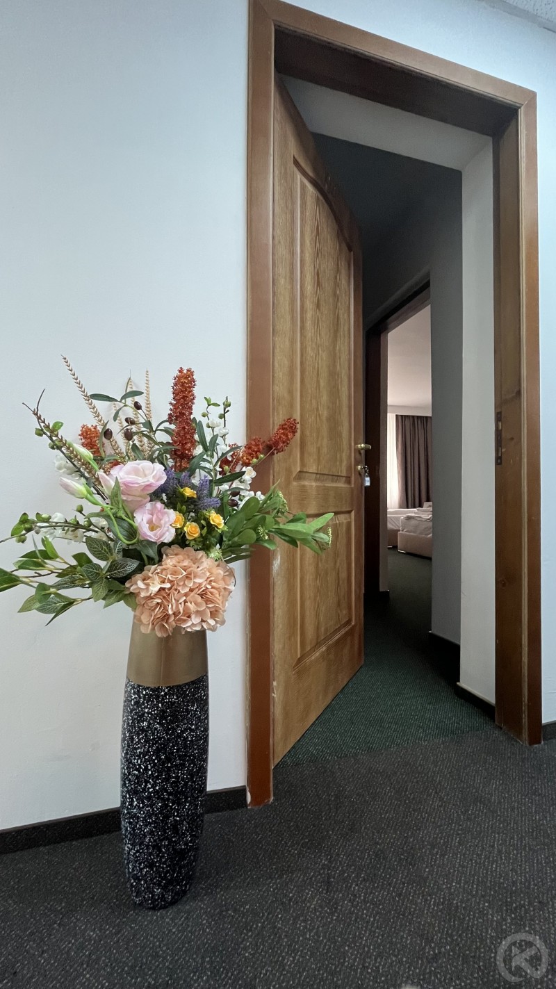 Europa Hotel Ocna Mureș 704664 thumb