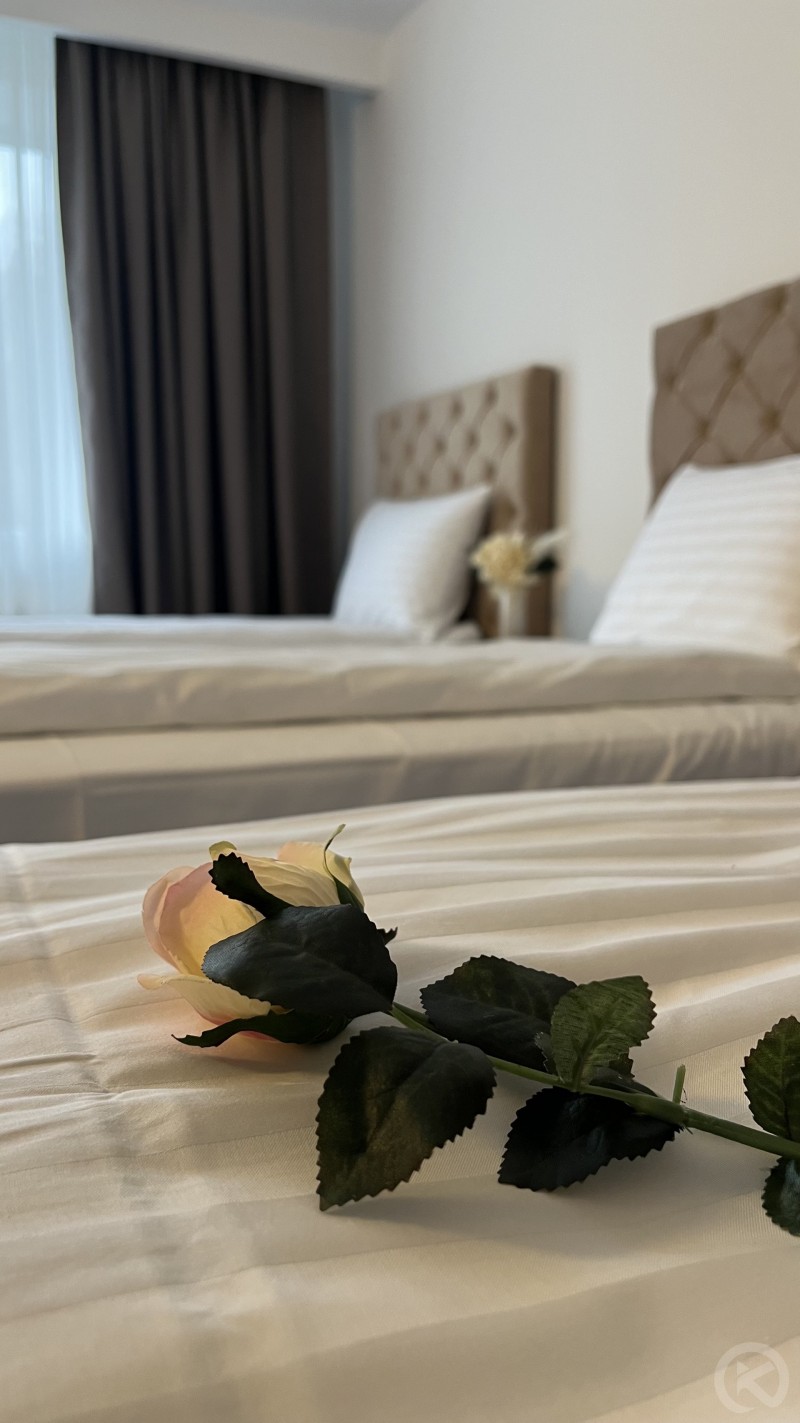 Europa Hotel Ocna Mureș 704721 thumb