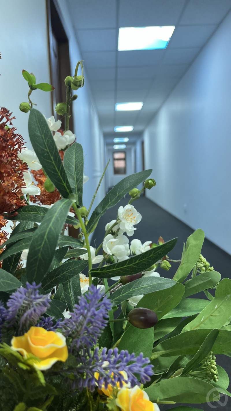 Europa Hotel Ocna Mureș 704663 thumb