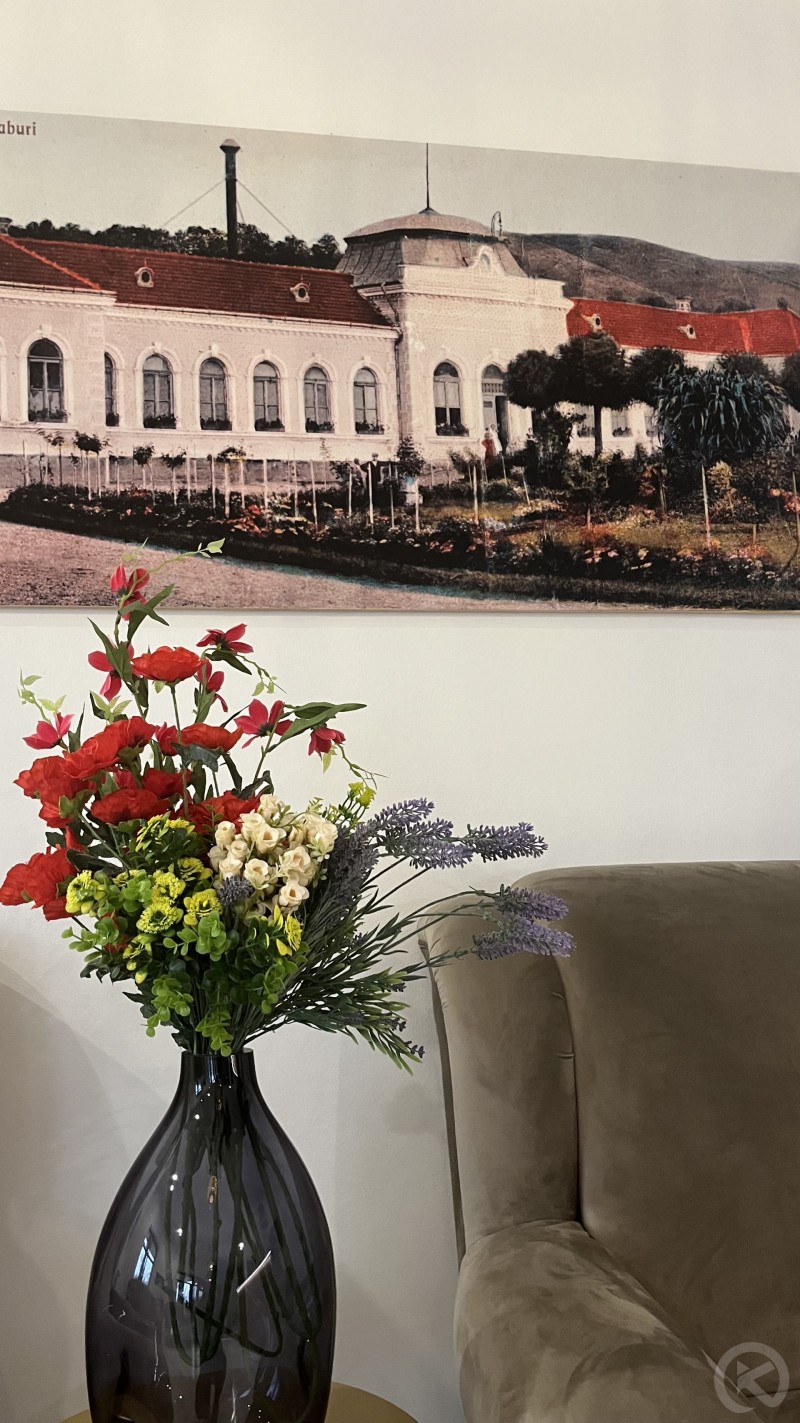 Europa Hotel Ocna Mureș 704749 thumb