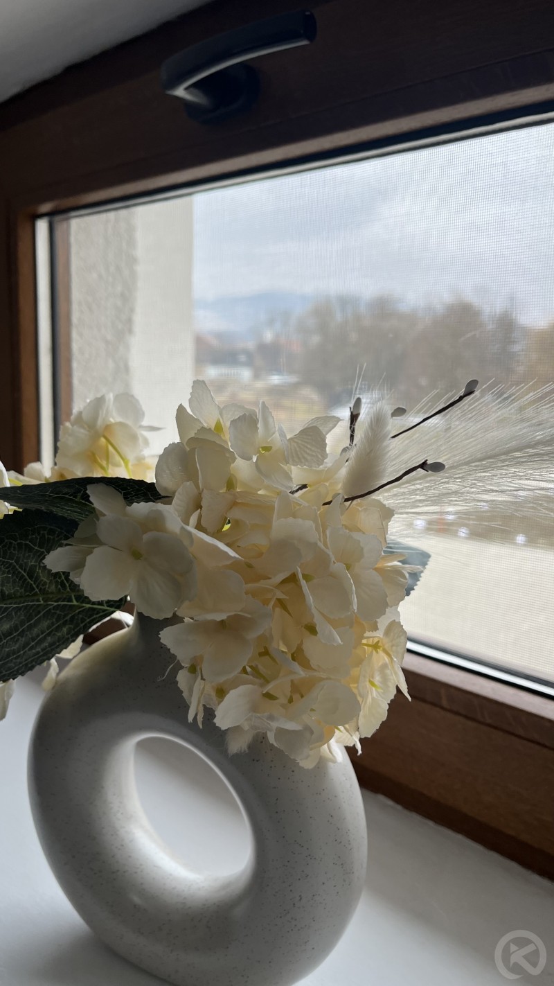 Europa Hotel Ocna Mureș 704730 thumb