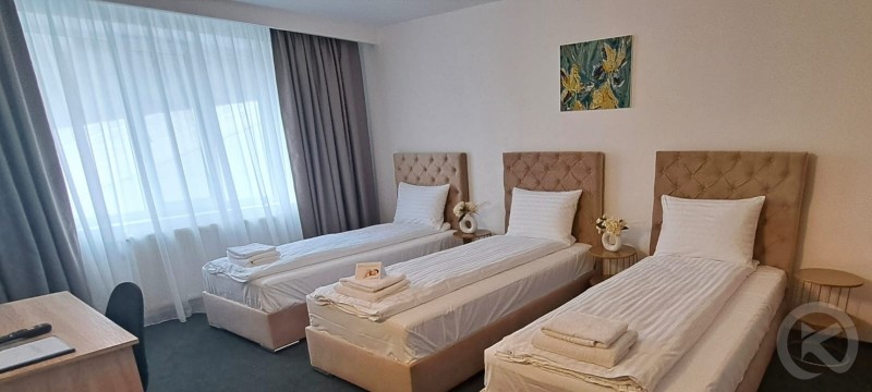 Europa Hotel Ocna Mureș 704656 thumb