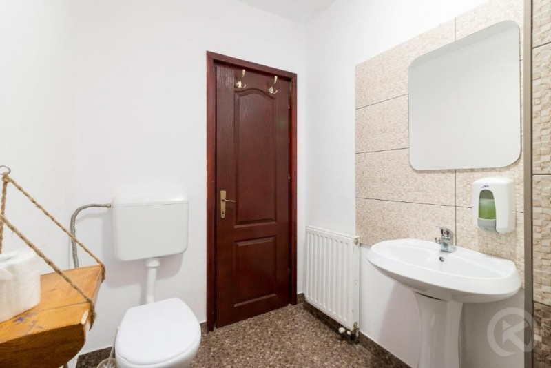 Camil Hathazi Zărnești 694633 thumb