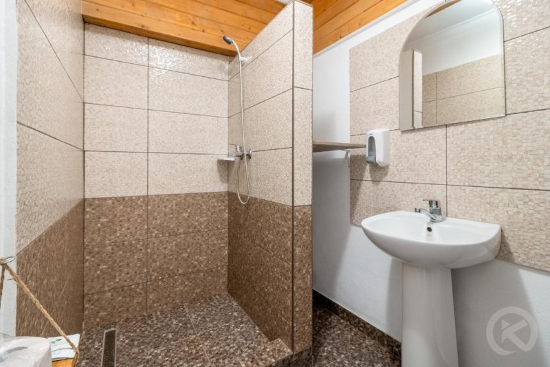 Camil Hathazi Zărnești 694632 thumb