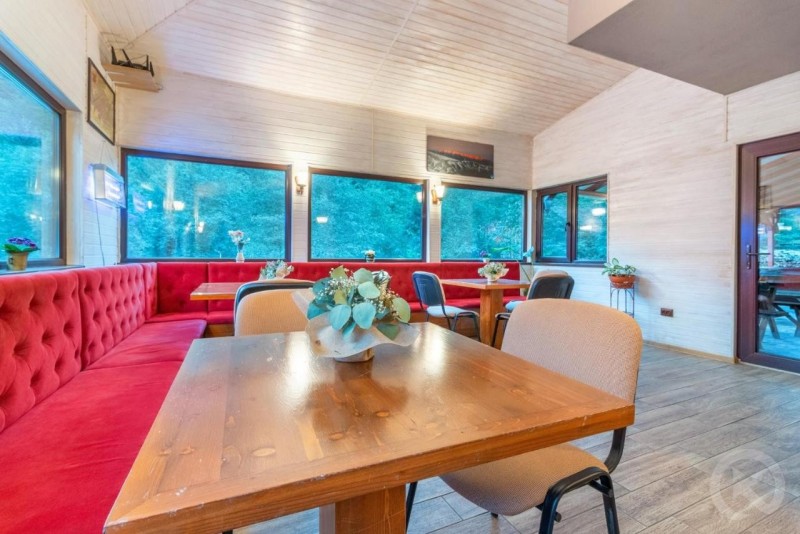 Camil Hathazi Zărnești 694647 thumb