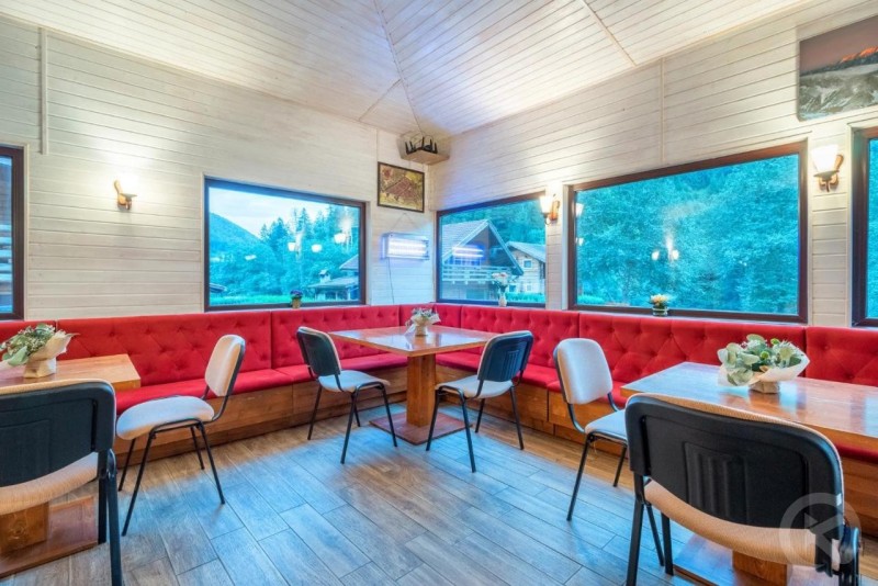 Camil Hathazi Zărnești 694648 thumb