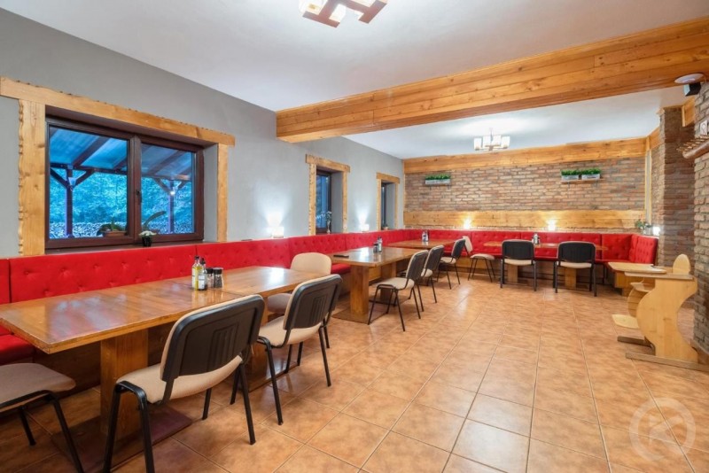 Camil Hathazi Zărnești 694645 thumb