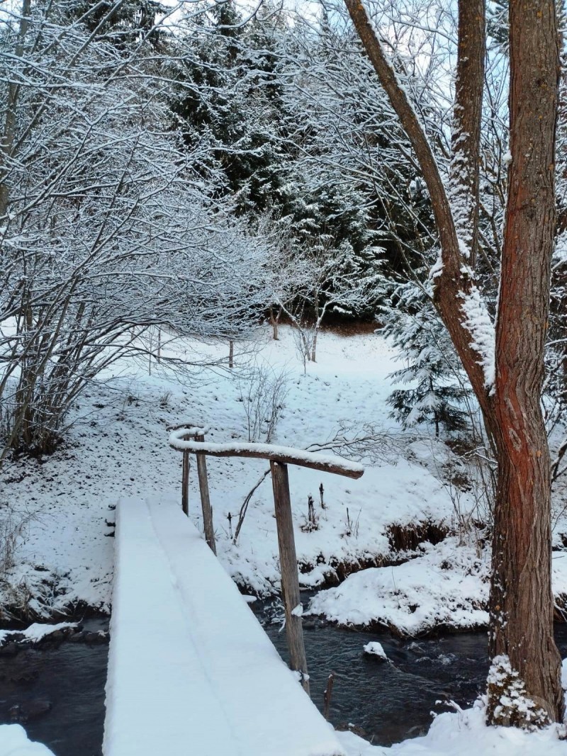 Balint-lak Chalet Vărșag 686567 thumb