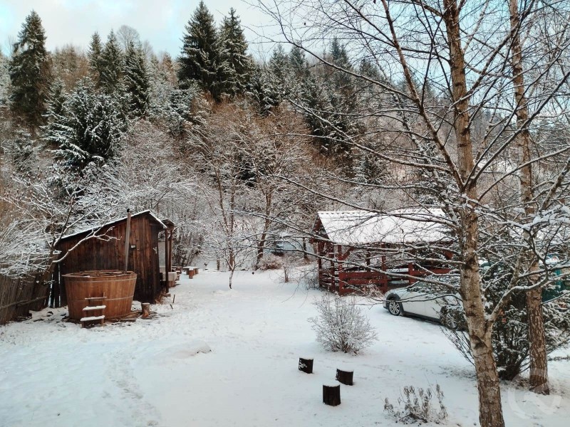 Balint-lak Chalet Vărșag 686570 thumb