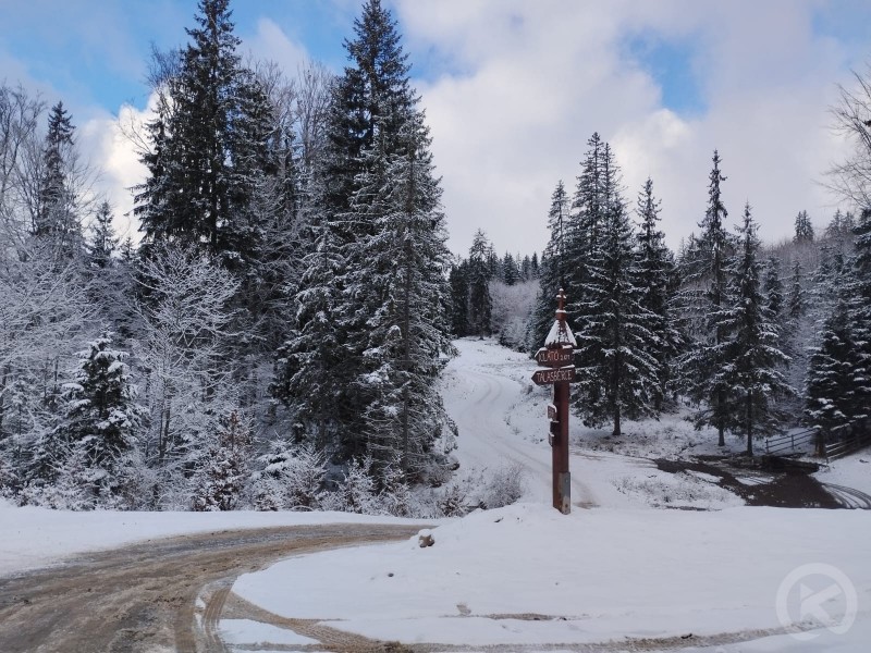 Balint-lak Chalet Vărșag 686561 thumb