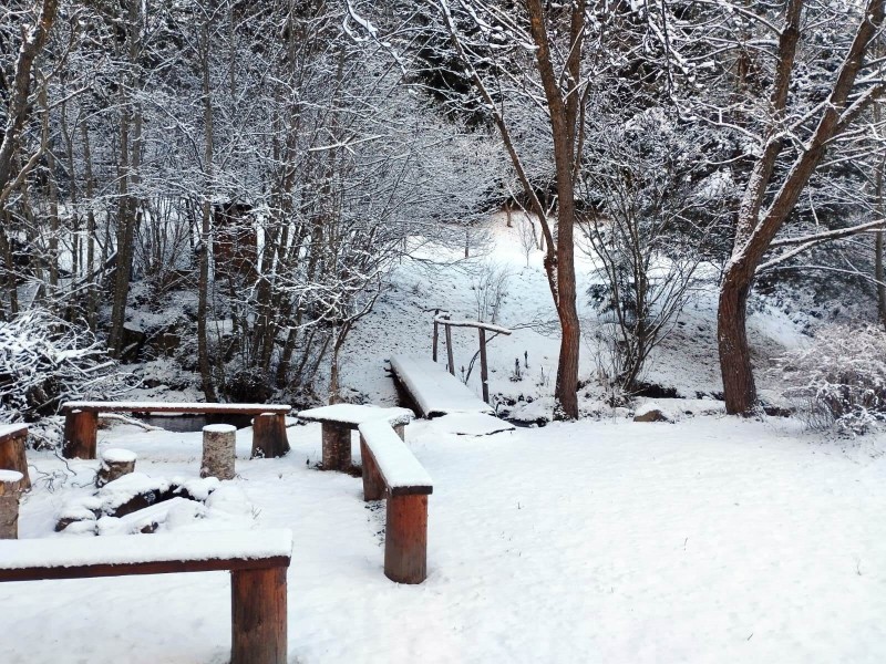 Balint-lak Chalet Vărșag 686566 thumb