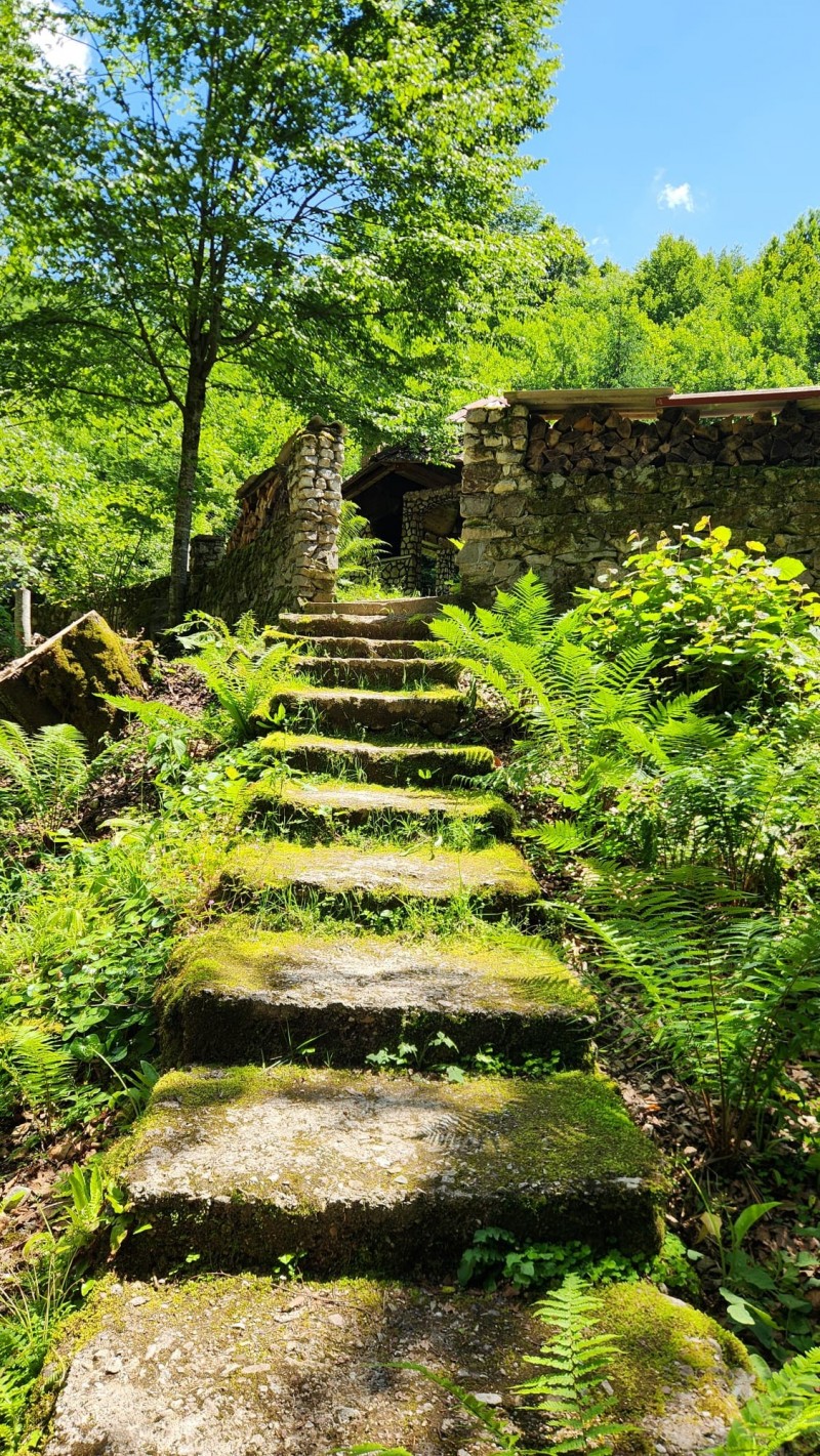 Julius Holiday Chalet Valea Boga 706545 thumb