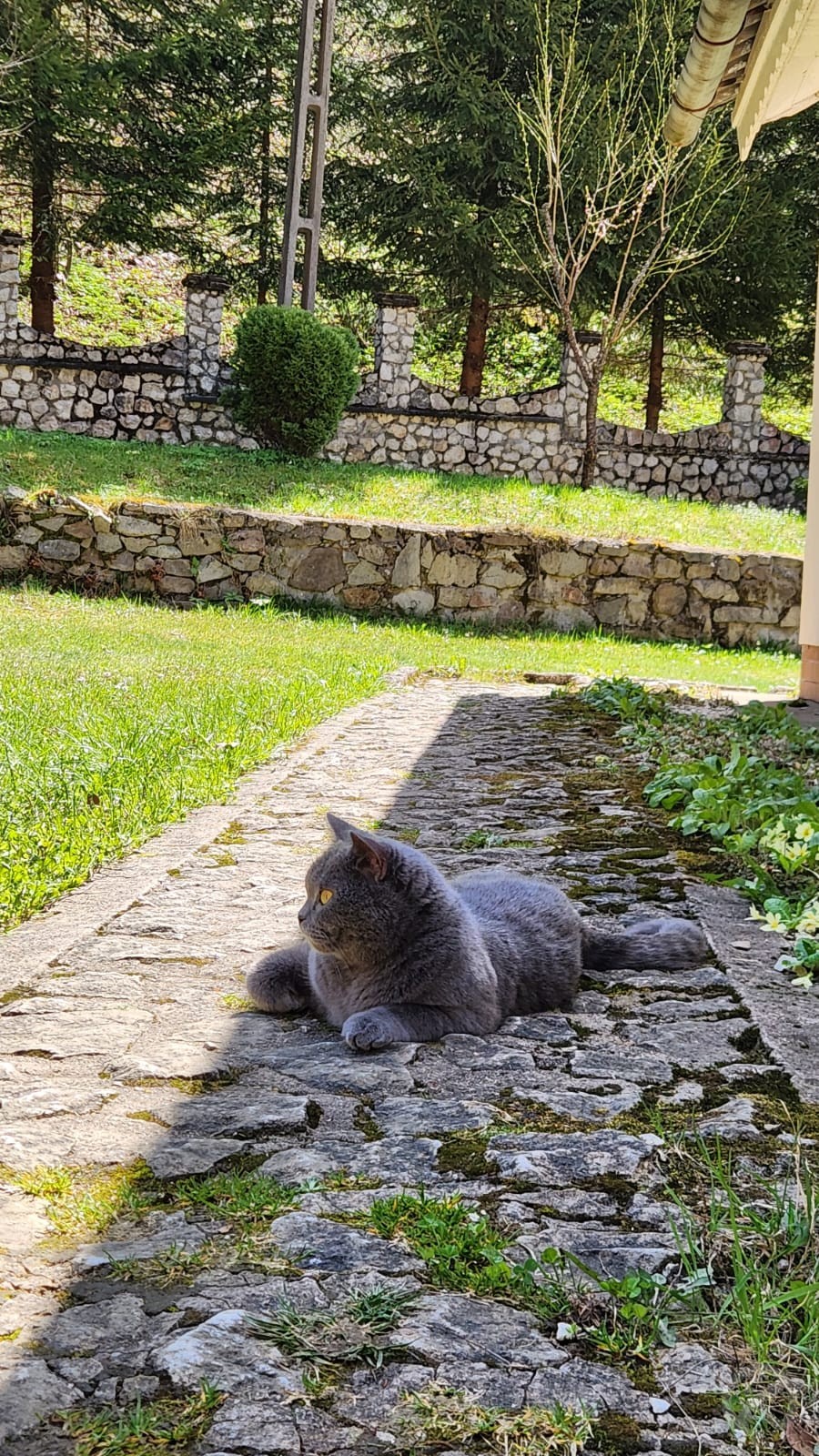 Julius Holiday Chalet Valea Boga 706533 thumb