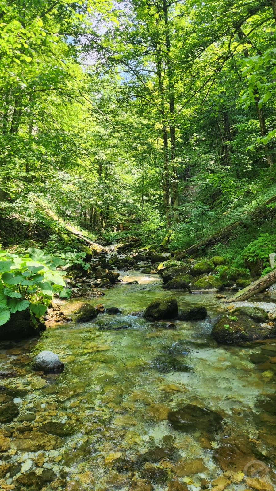 Julius Holiday Chalet Valea Boga 706528 thumb