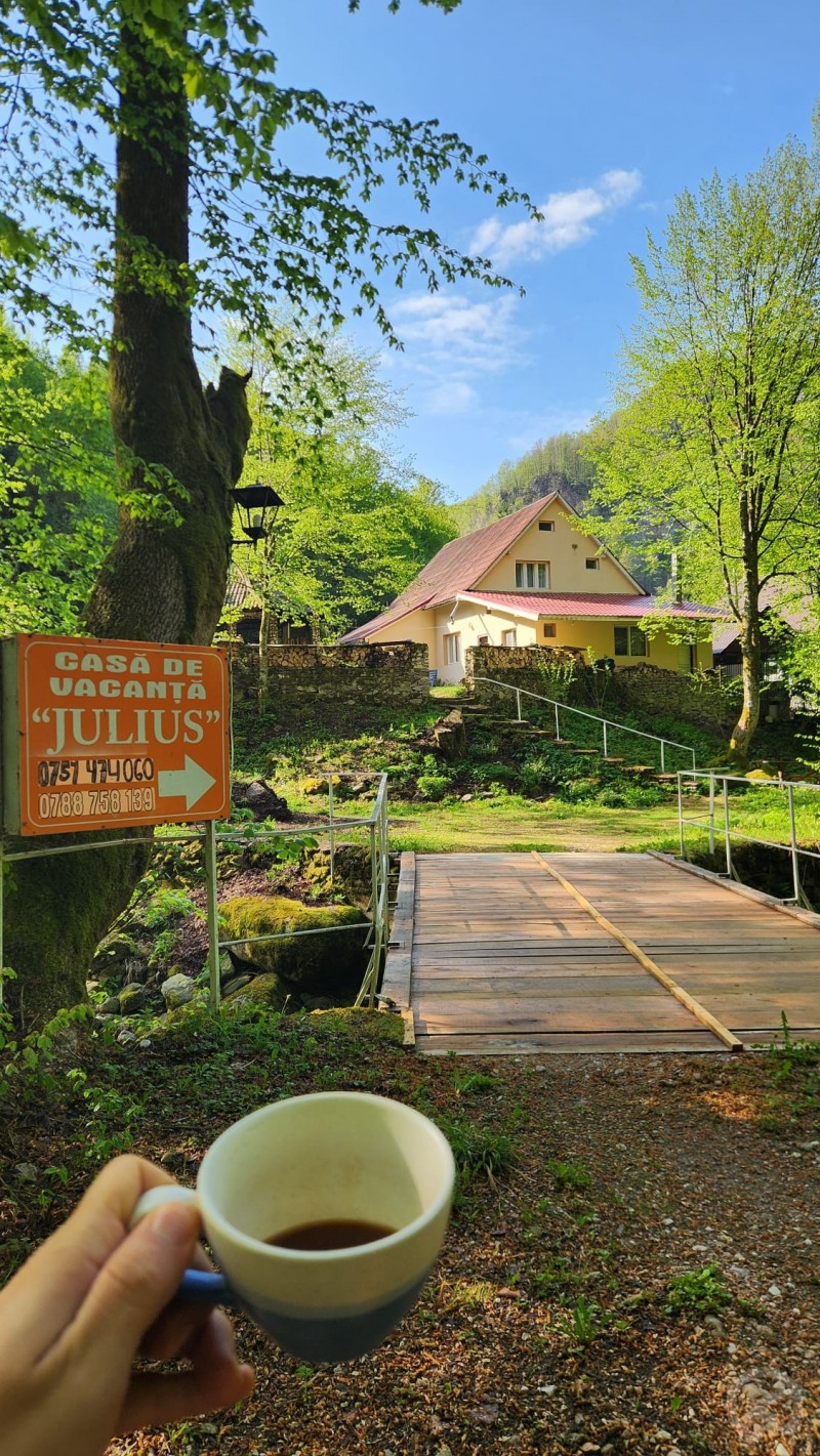 Julius Holiday Chalet Valea Boga 706556 thumb