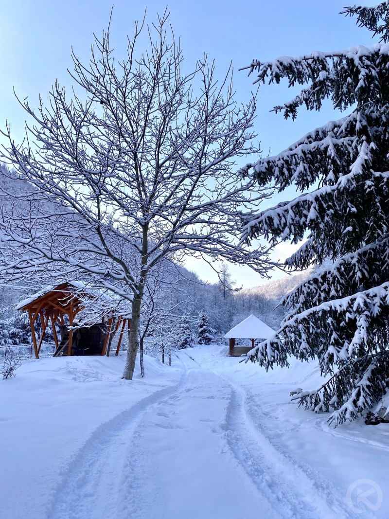 Mădălin Holiday Chalet Pietroasa 683856 thumb