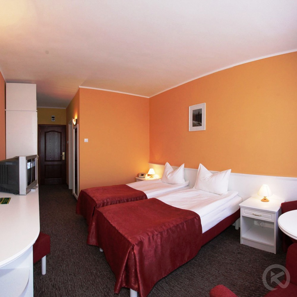 Aluniș Hotel Sovata 705938 thumb