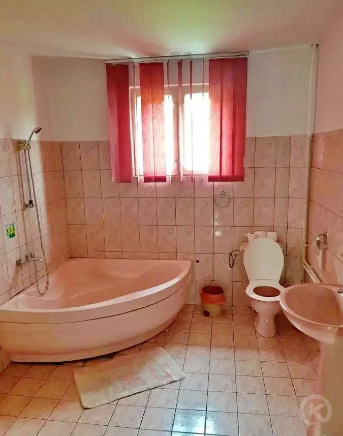 Attila Chalet Sovata 691220 thumb