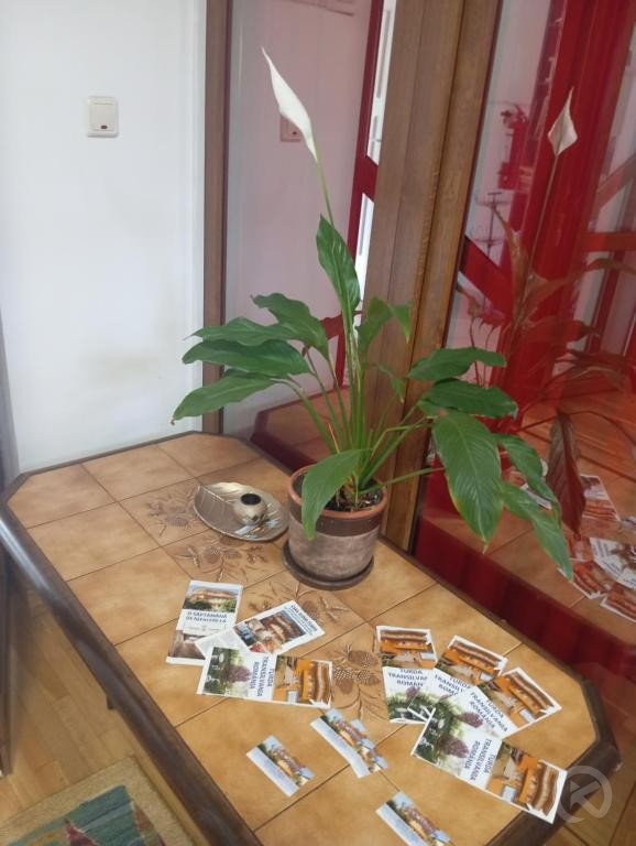 Tudor Pension Turda 703455 thumb