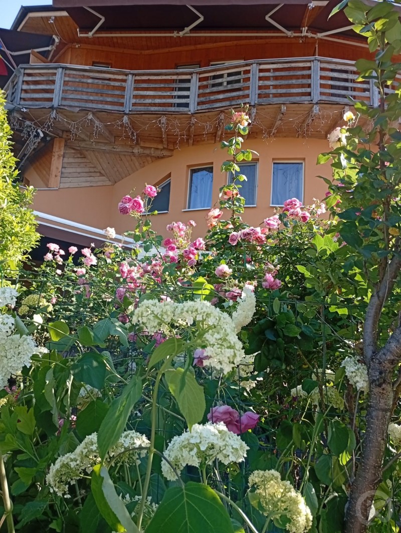 Tudor Pension Turda 703459 thumb