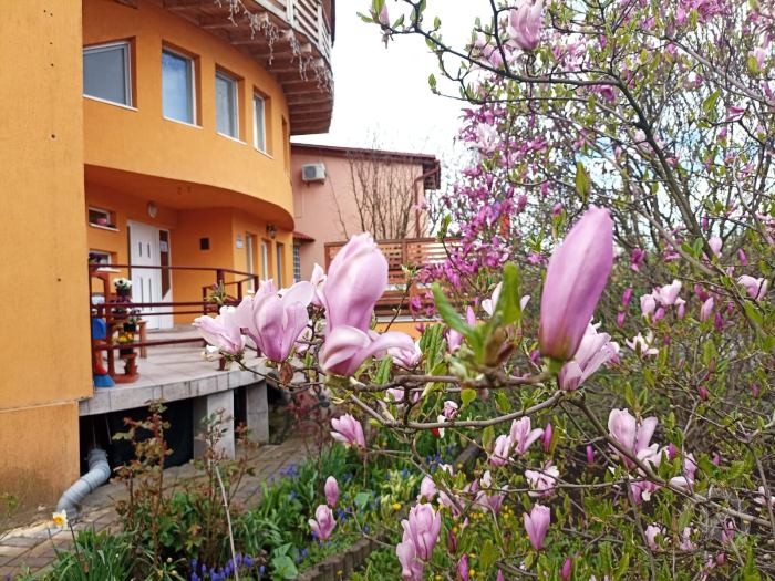 Tudor Pension Turda 703451 thumb