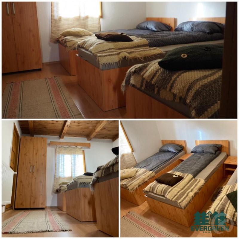 Evergreen Balvanyos Băile Bálványos 683880 thumb