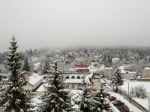 HOTEL PIEMONTE Predeal 721351 thumb
