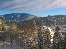 HOTEL PIEMONTE Predeal 721356 thumb