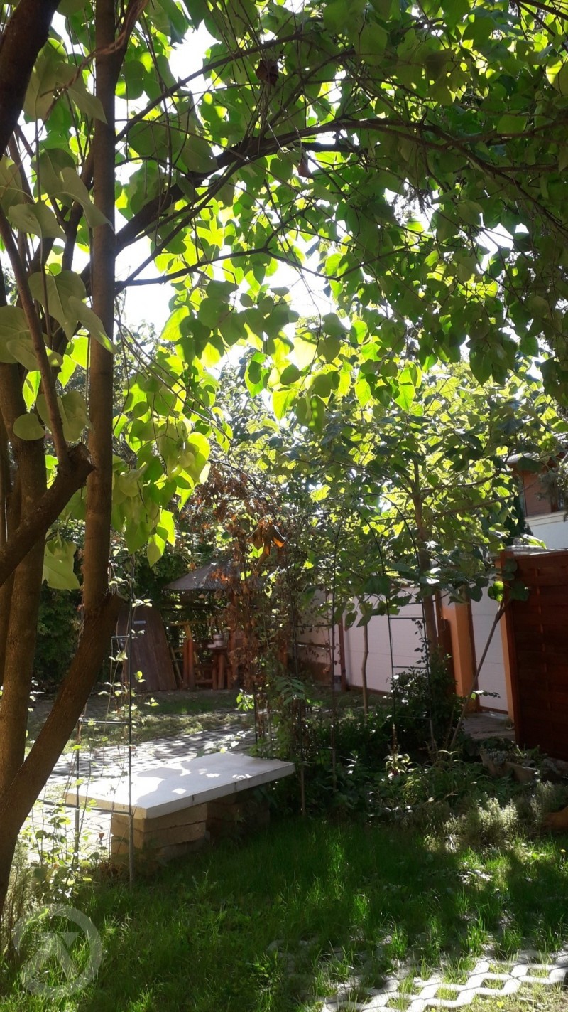 ABBA Gyula Apartman Gyula 701404 thumb