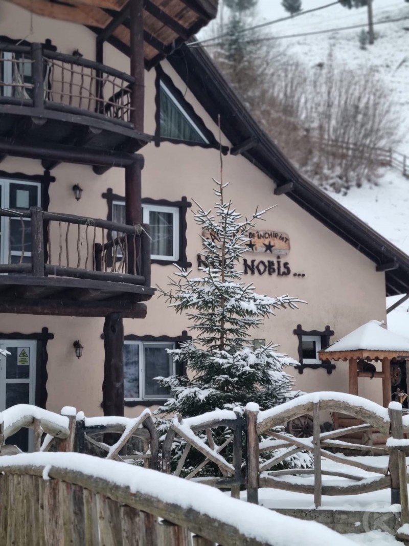 Spaniola, engleza incepator Dâmbovicioara 697186 thumb