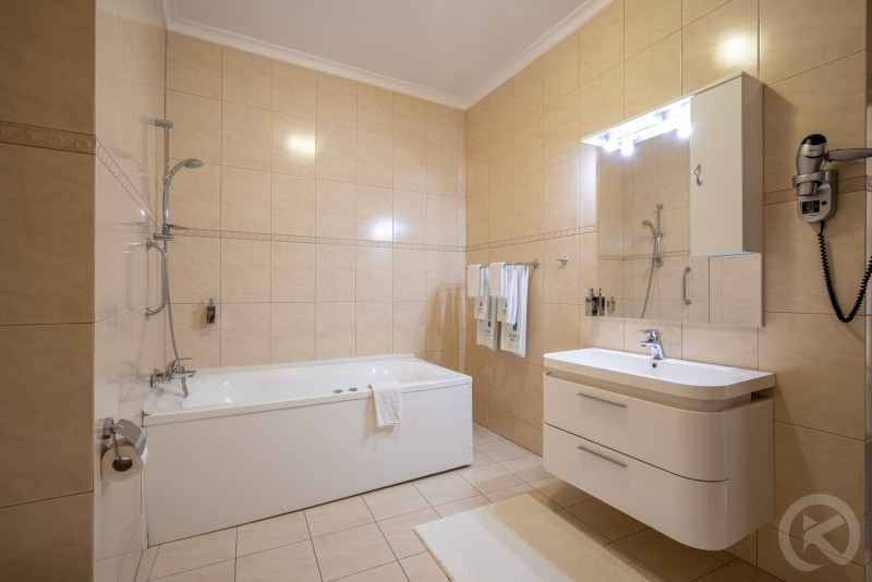 HOTEL TRAIAN Brăila 713019 thumb