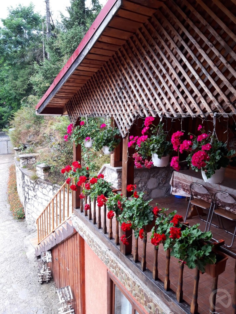 CABANA MED 1 Arieșeni 713959 thumb