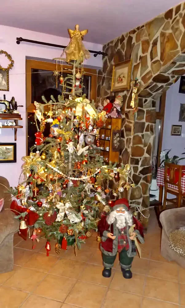 Guest House Anett Valea Boga 656334 thumb